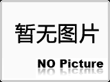 弹簧袋笼也称除尘框架，内星角骨架，除尘框架，又称袋笼